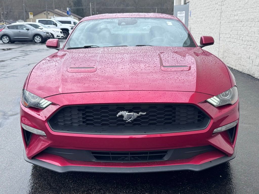 Certified 2021 Ford Mustang EcoBoost w/ Equipment Group 101A image 3
