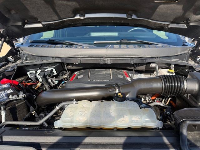 Used 2025 Ford F150 Raptor AWD/4WD image 19