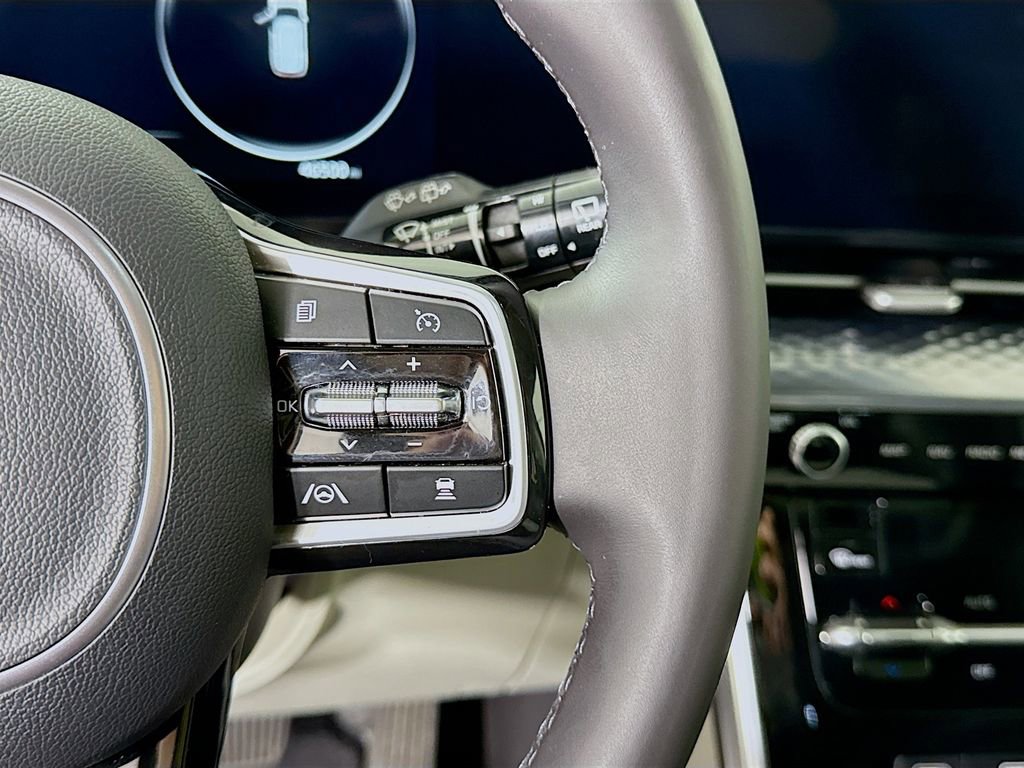 Used 2024 Kia Carnival SX Prestige image 24