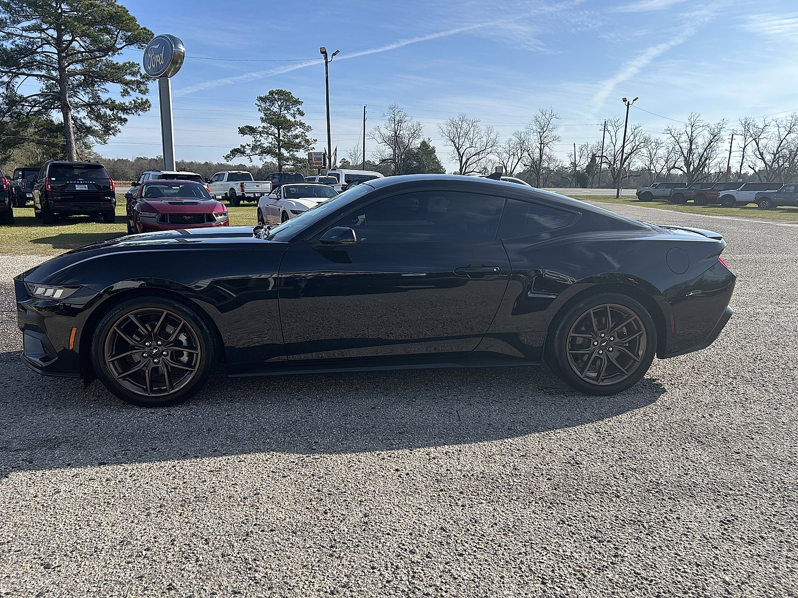 Used 2024 Ford Mustang Premium image 1
