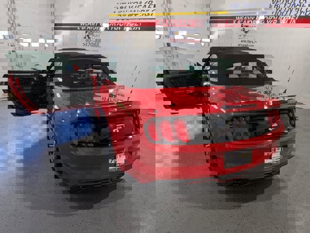 Used 2017 Ford Mustang GT Premium w/ Equipment Group 401A image 13