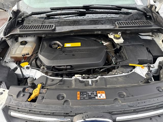 Used 2016 Ford Escape SE w/ Cargo Utility Package image 28