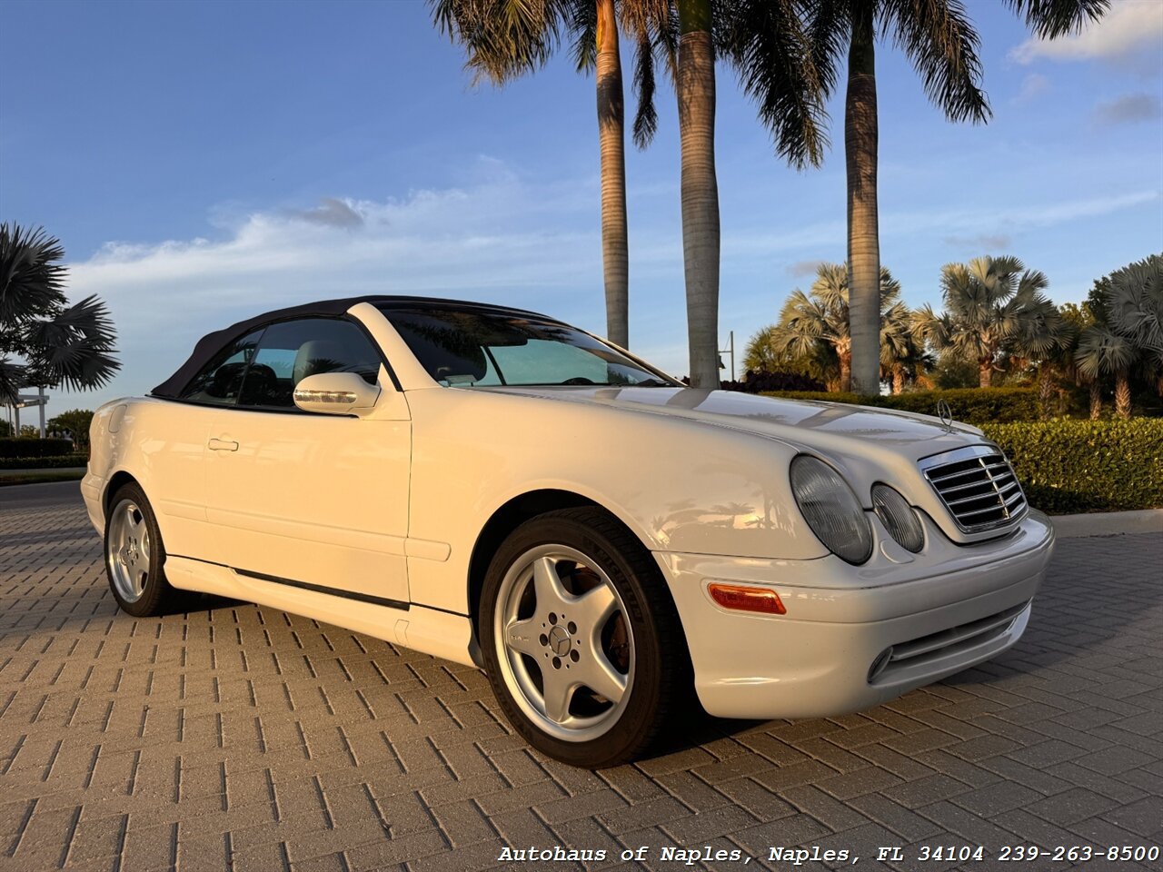 Used 2001 Mercedes-Benz CLK 430 Cabriolet image 12