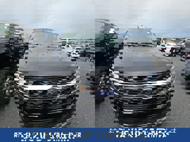 Used 2024 Ford Expedition Max Limited AWD/4WD image 5