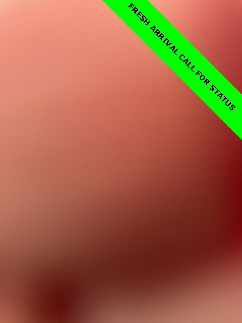 Used 2018 Ford Escape SE w/ Ford Safe & Smart Package image 16