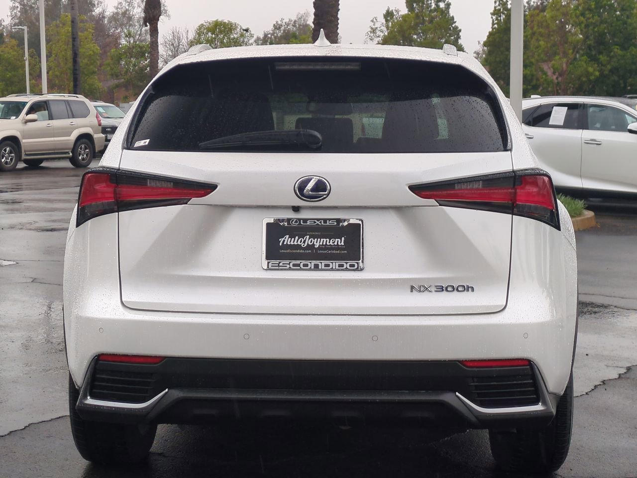 Used 2020 Lexus NX 300h AWD w/ Premium Package image 6