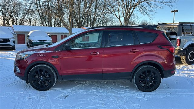Used 2019 Ford Escape SE image 4