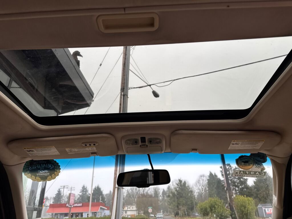 Used 2012 Ford Escape Limited image 23