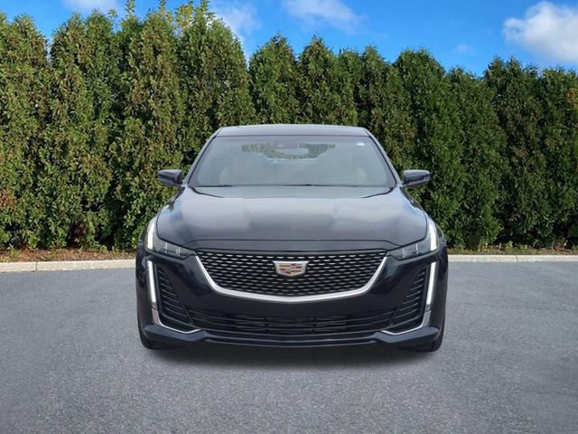 Used 2021 Cadillac CT5 Premium Luxury AWD/4WD image 2