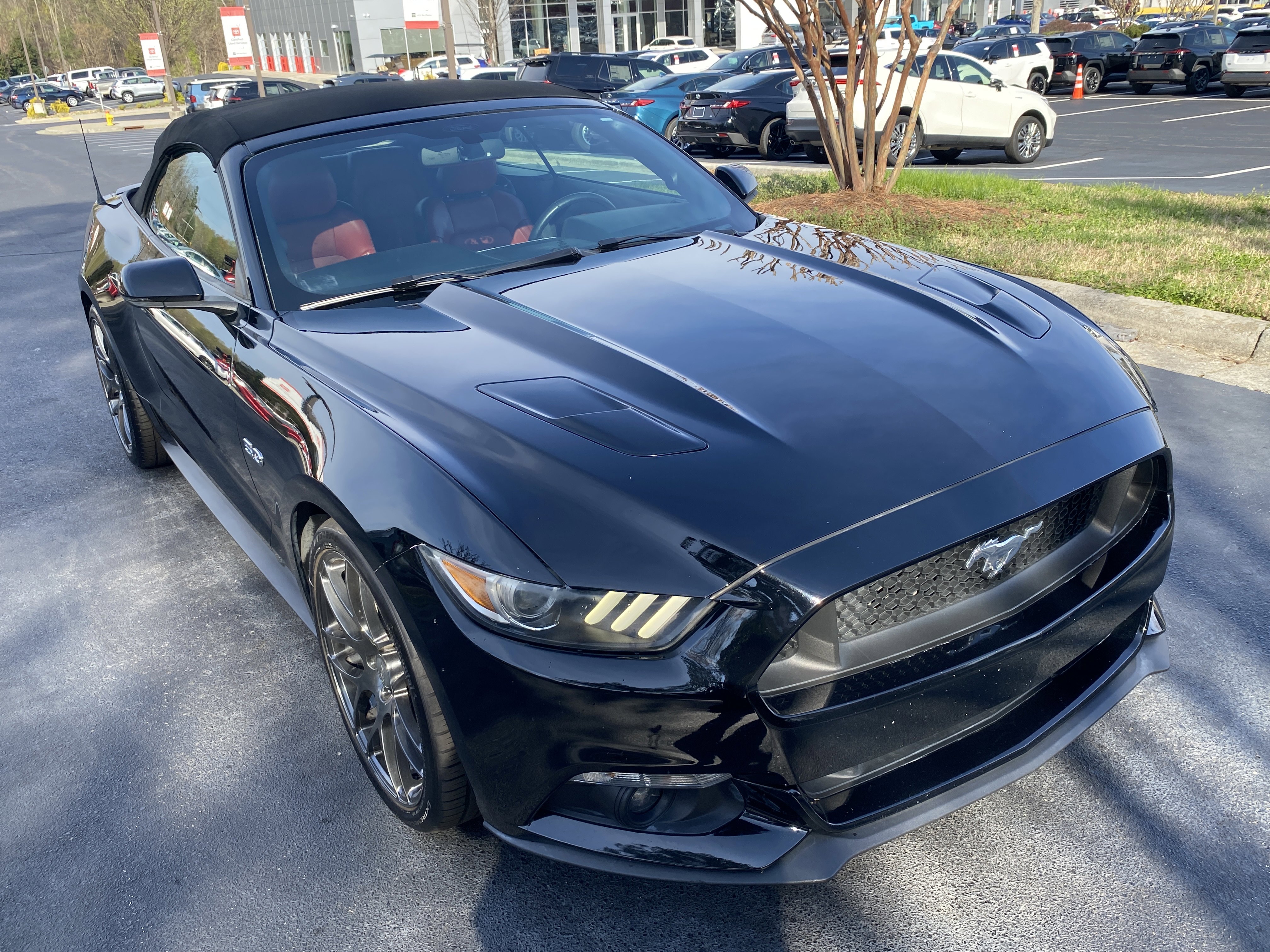 Used 2017 Ford Mustang GT Premium w/ Equipment Group 401A image 3