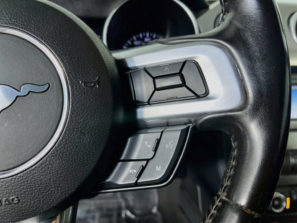 Used 2019 Ford Mustang GT w/ Black Accent Package RWD image 17