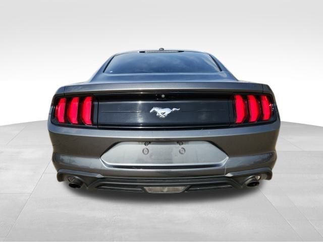 Used 2019 Ford Mustang Coupe image 5