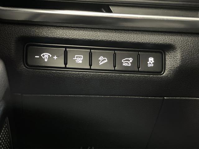 Used 2024 Kia Telluride SX Prestige X-Line image 26