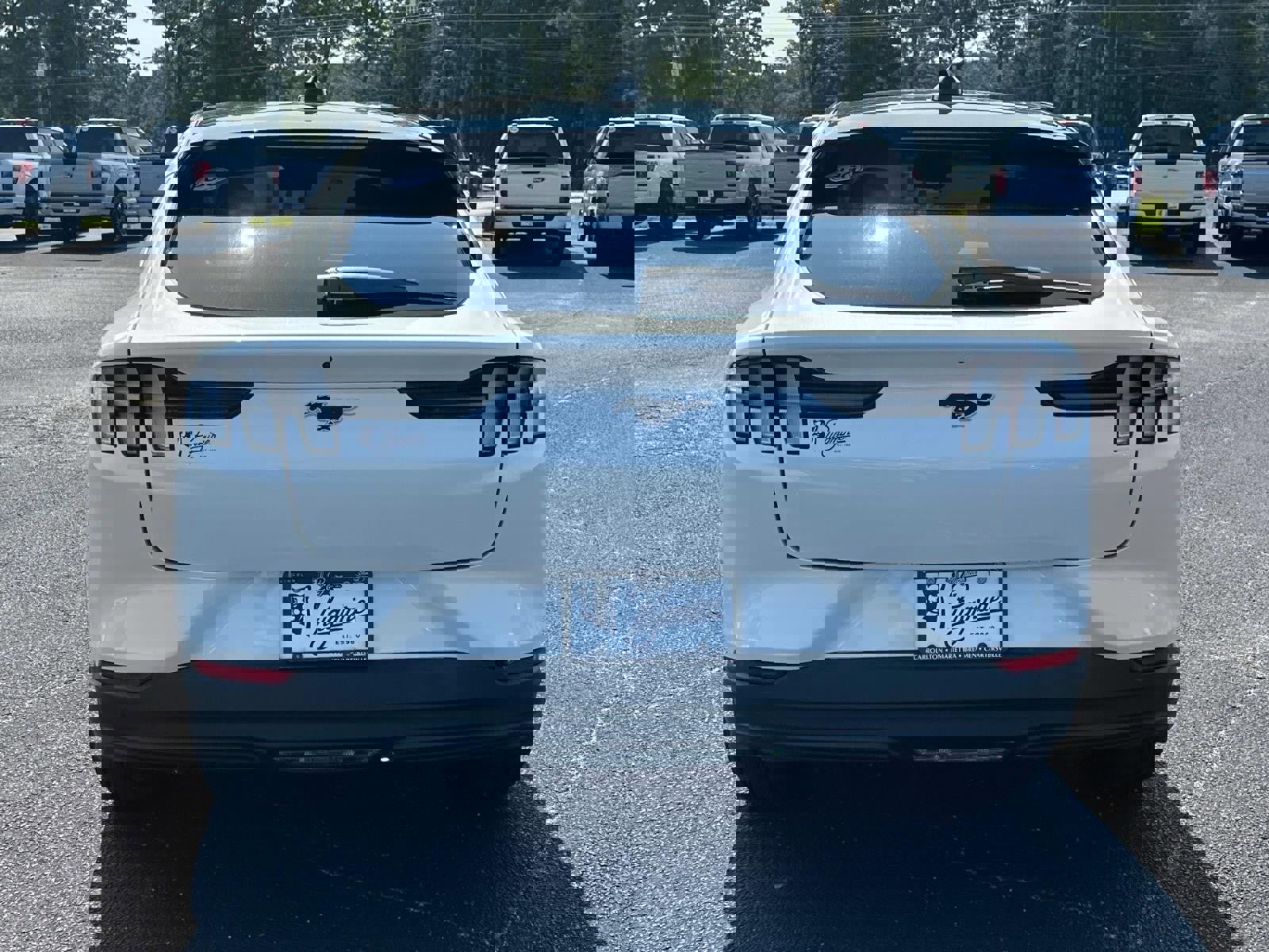 New 2025 Ford Mustang Mach-E Premium w/ Interior Protection Package image 39