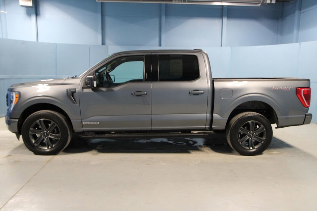 Used 2023 Ford F150 XLT w/ Equipment Group 302A High image 28