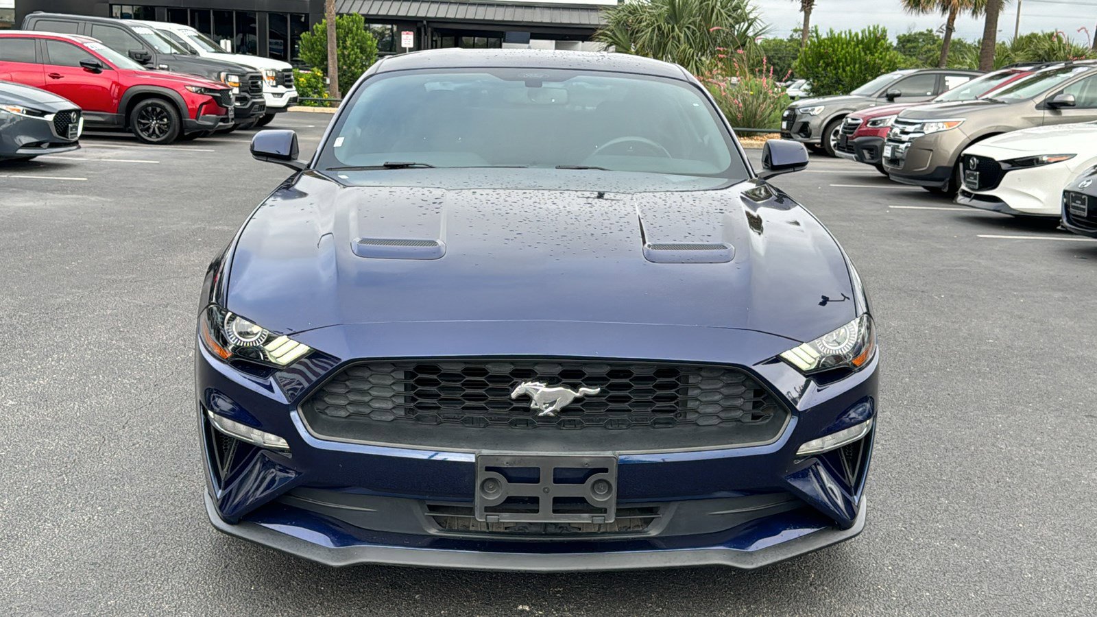 Used 2020 Ford Mustang Coupe w/ Equipment Group 101A RWD image 3