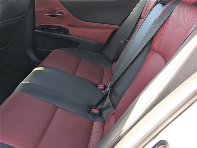 Used 2022 Lexus ES 300h F Sport image 19