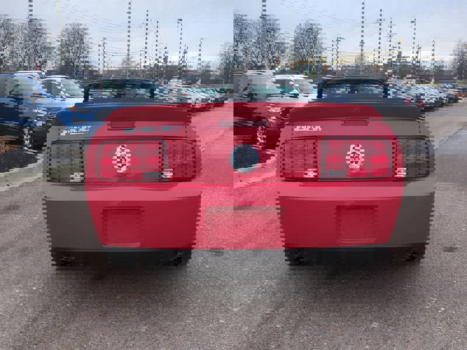 Used 2008 Ford Mustang Shelby GT500 image 7