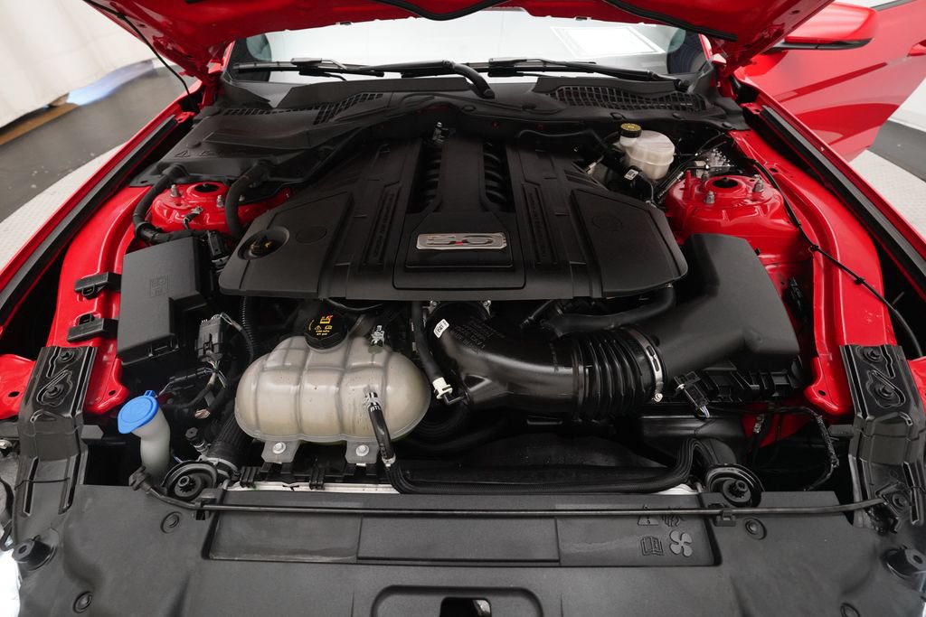 Used 2021 Ford Mustang GT Premium w/ Equipment Group 401A RWD image 3