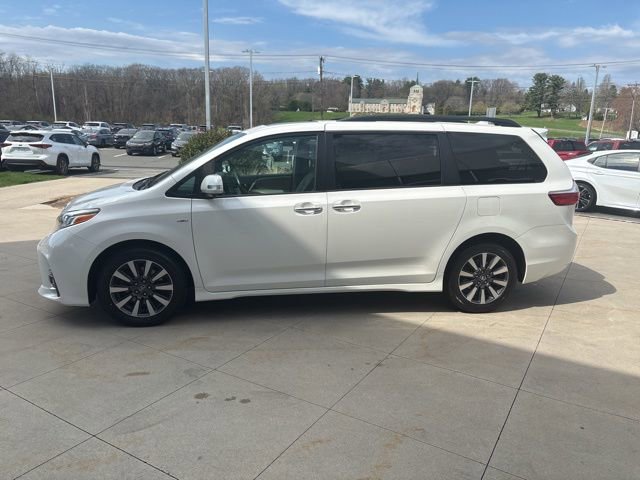 Used 2019 Toyota Sienna Limited Premium image 4