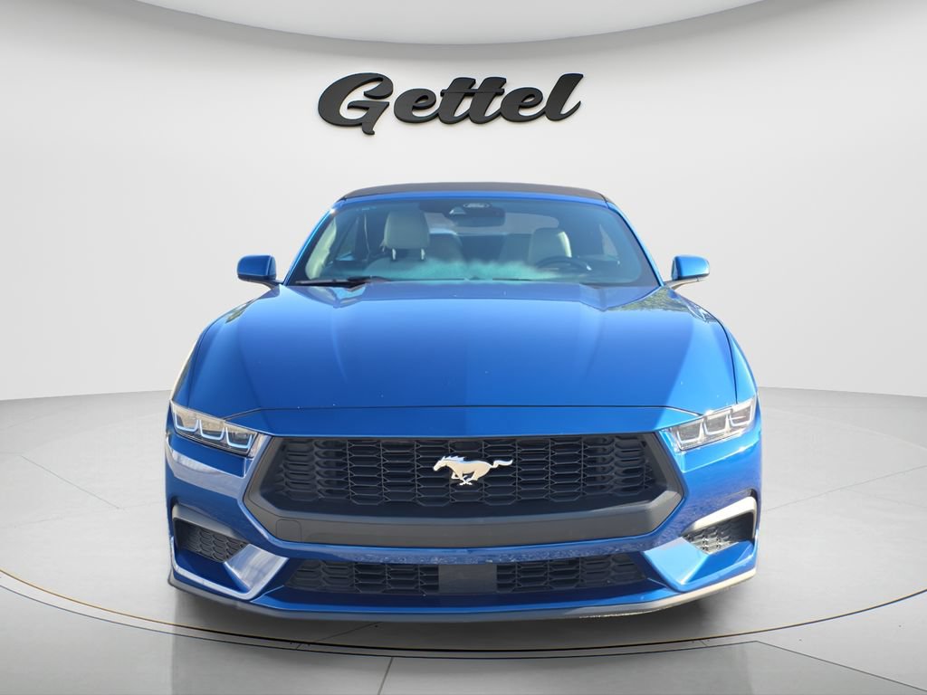 Used 2024 Ford Mustang Premium RWD image 2