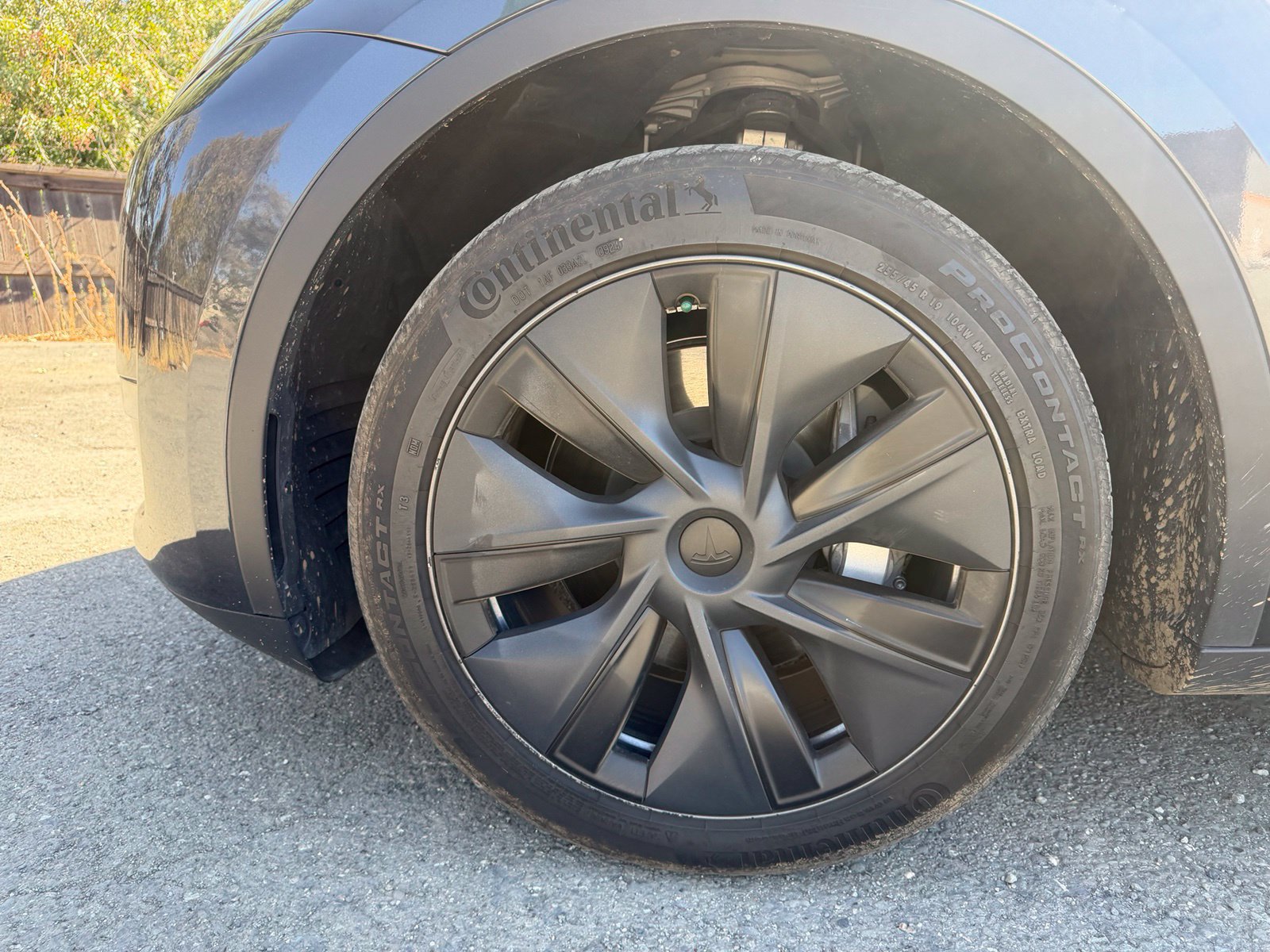 Used 2024 Tesla Model Y 2WD image 9