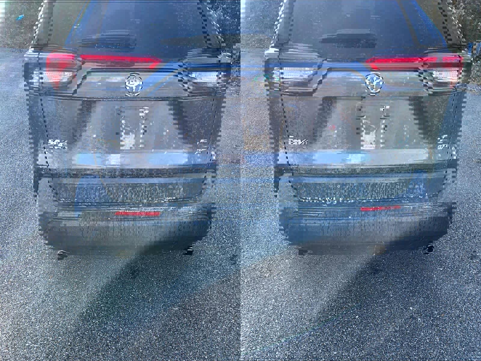 Certified 2019 Toyota RAV4 LE image 7