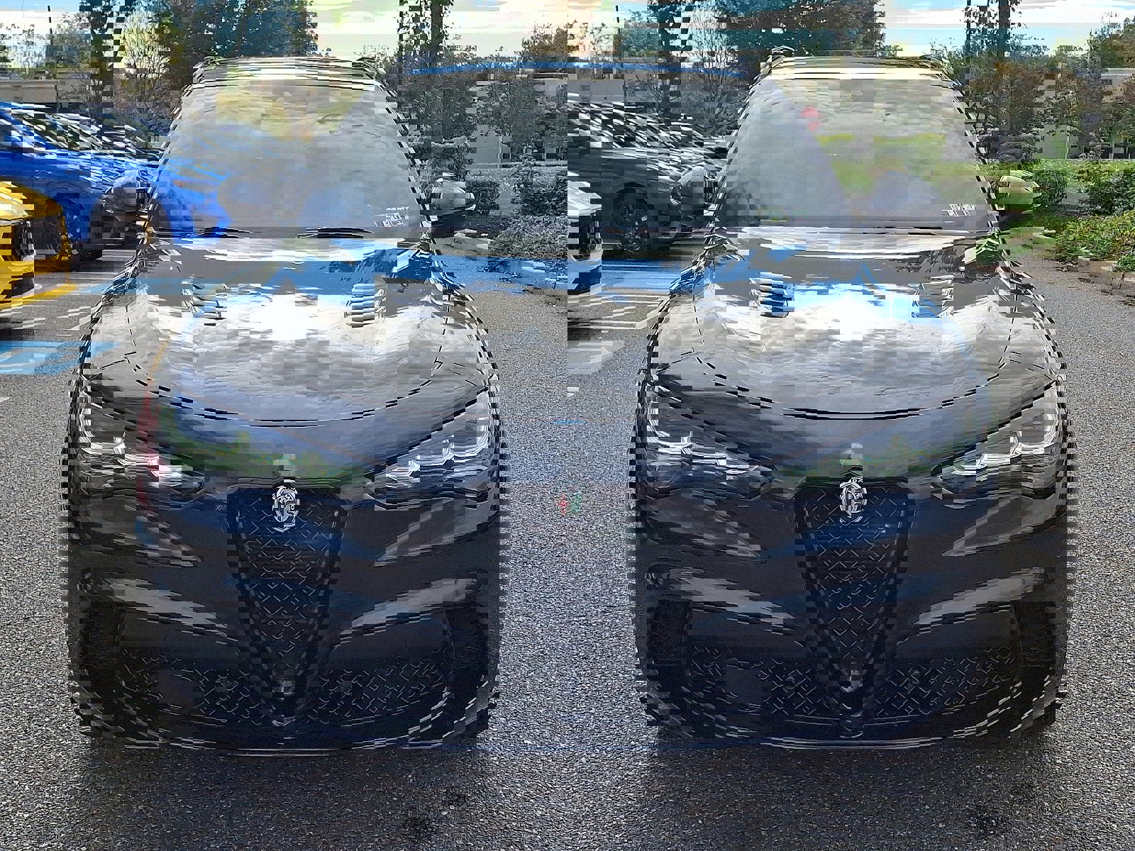 Used 2024 Alfa Romeo Stelvio Quadrifoglio image 2