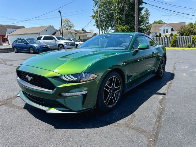 Used 2023 Ford Mustang Coupe w/ Equipment Group 101A RWD image 3