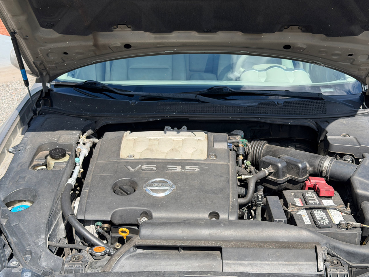 Used 2004 Nissan Maxima 3.5 SE image 6