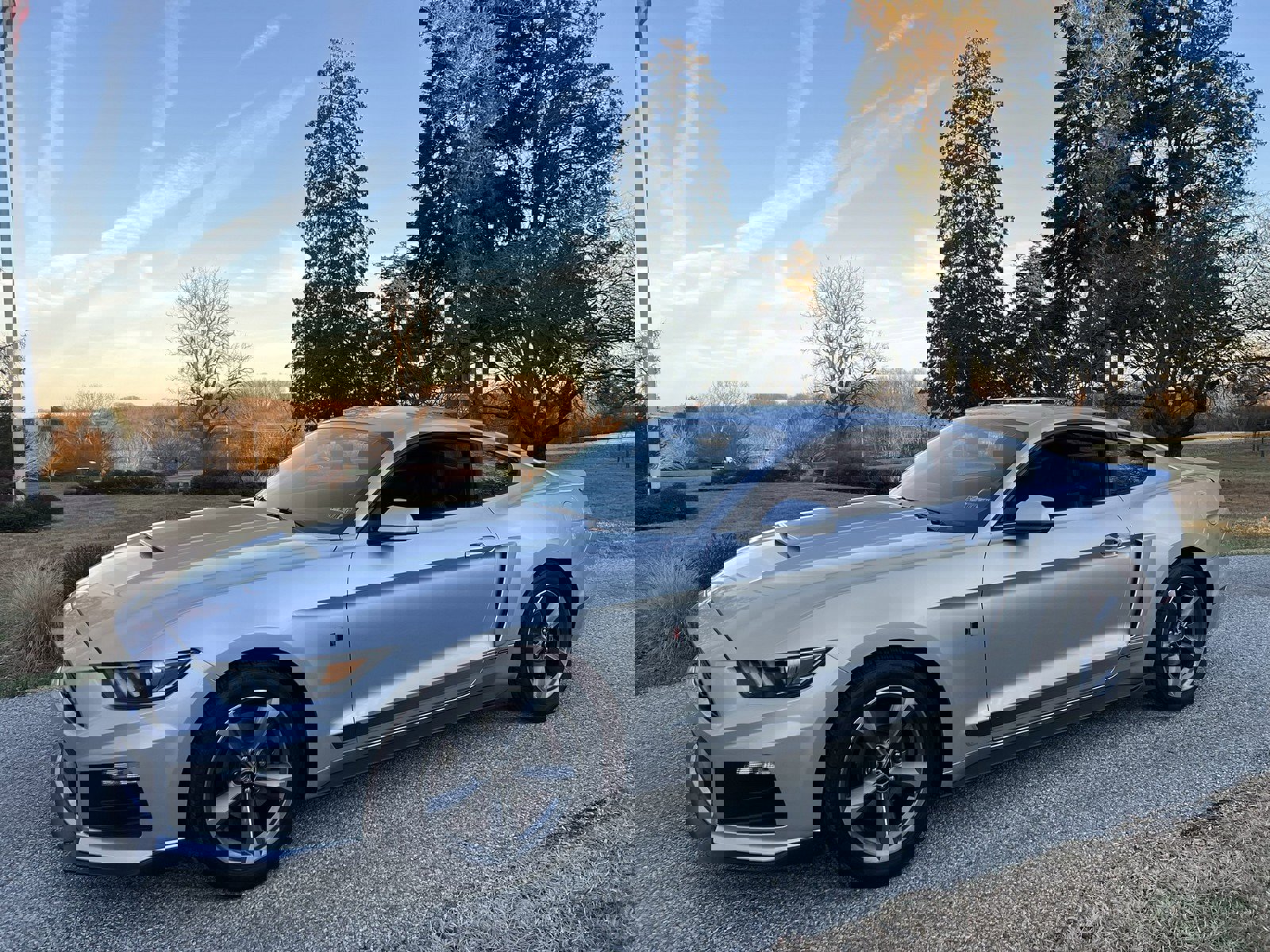 Used 2015 Ford Mustang Coupe w/ Equipment Group 051A image 5