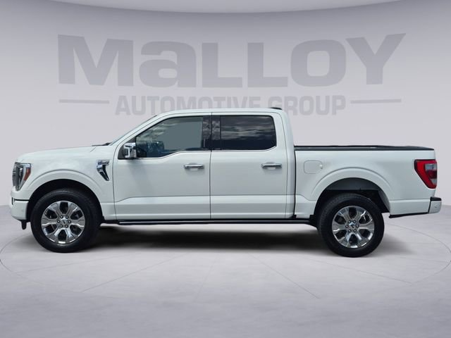 Used 2021 Ford F150 Platinum w/ Equipment Group 701A High AWD/4WD image 2