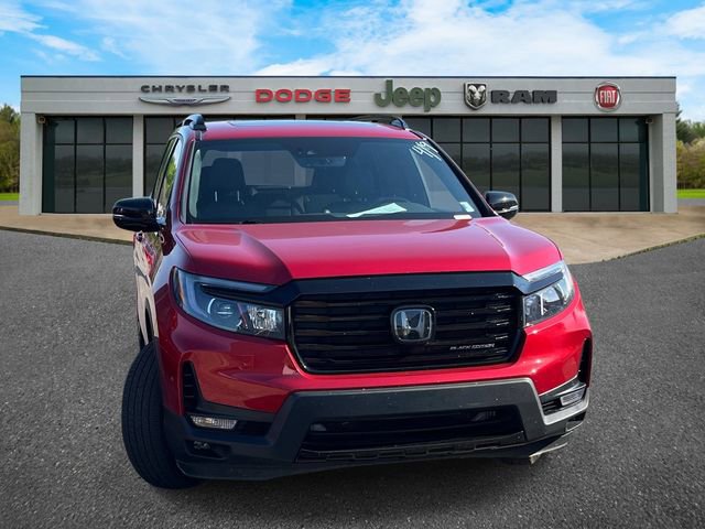 Used 2025 Honda Passport Black Edition image 8
