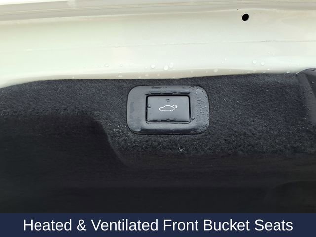 Used 2020 Lexus LS 500 w/ Interior Upgrade Package RWD image 13