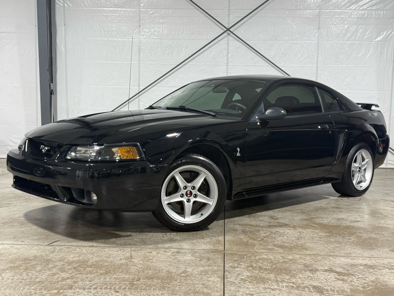 Used 2001 Ford Mustang Cobra