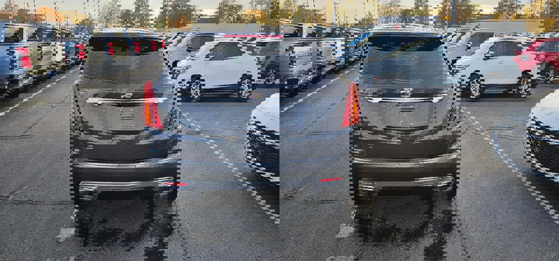 Used 2022 Cadillac XT5 Premium Luxury image 6