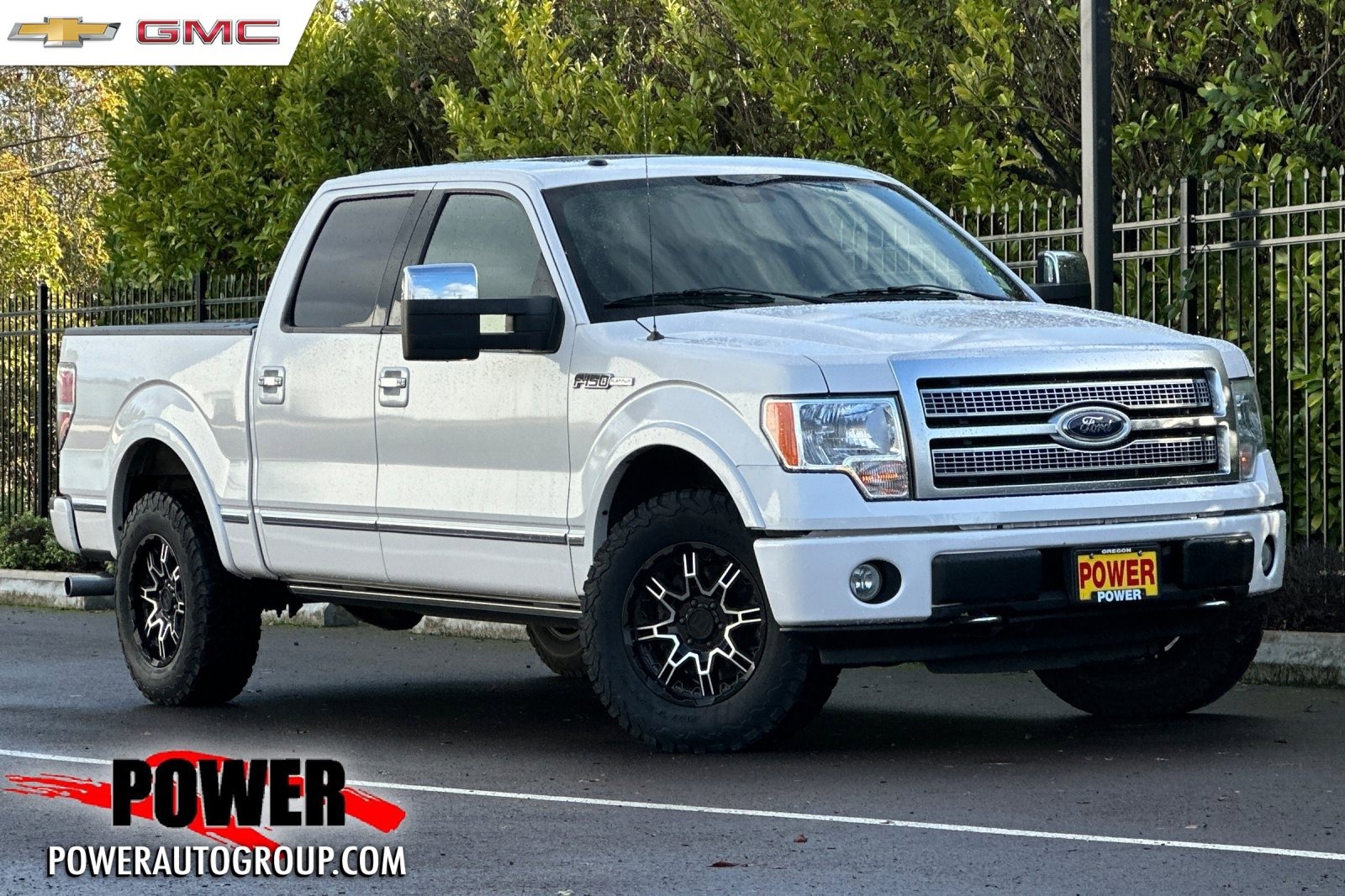 Used 2010 Ford F150 Platinum image 1