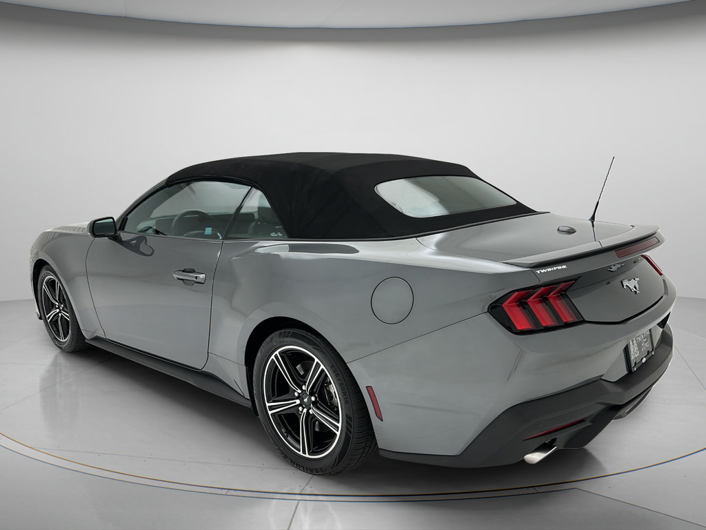 Used 2025 Ford Mustang Premium RWD image 4