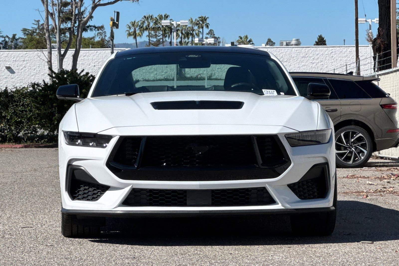 Used 2025 Ford Mustang GT Premium image 9