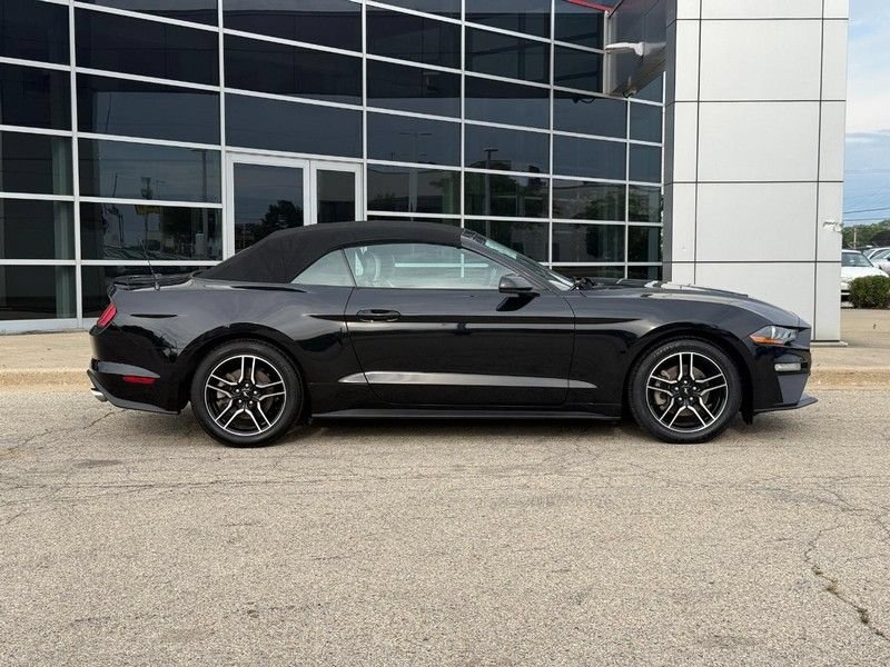 Used 2022 Ford Mustang Premium RWD video 2