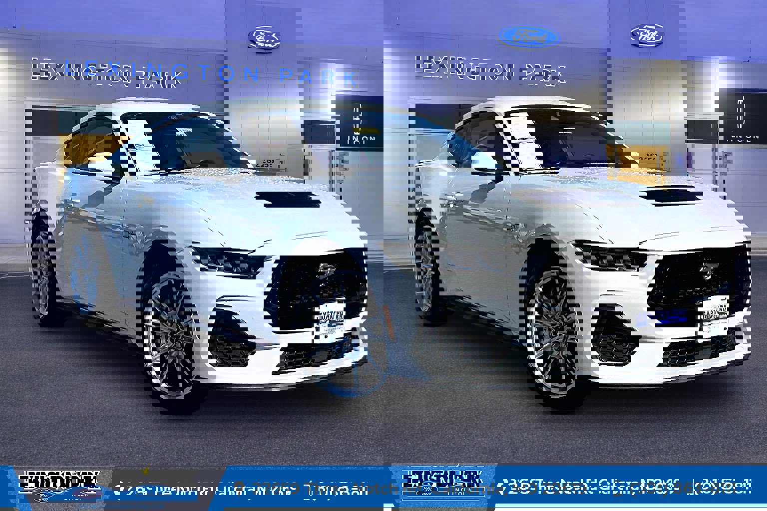 Used 2025 Ford Mustang GT Premium image 1