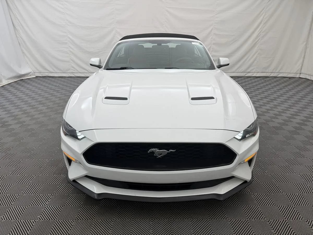 Used 2018 Ford Mustang Premium w/ Equipment Group 201A RWD image 10