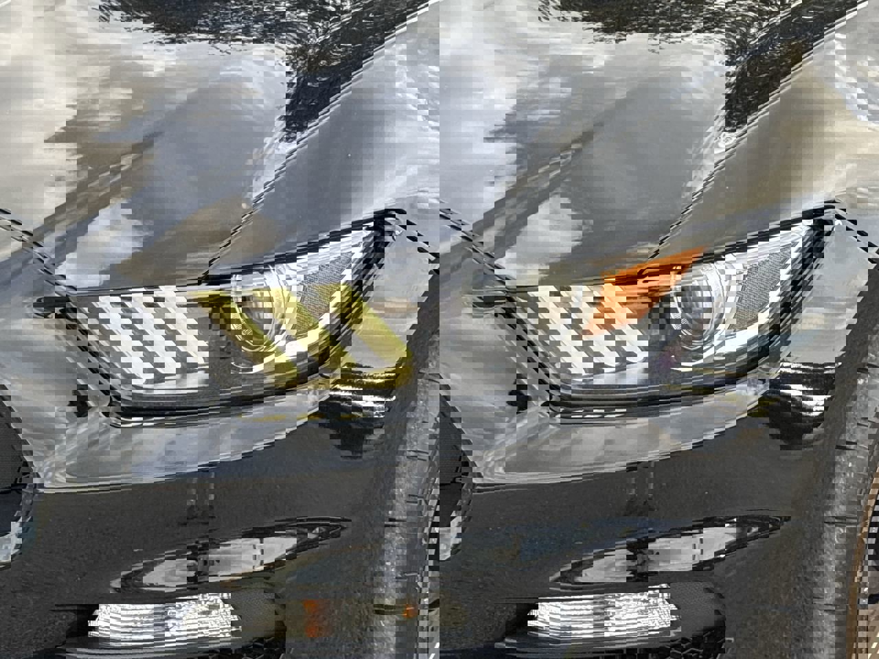 Used 2017 Ford Mustang Shelby GT350 image 6