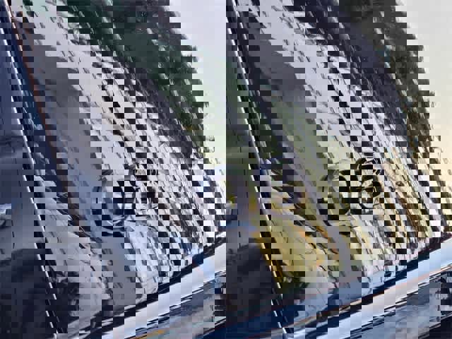 Used 2025 Audi Q8 Premium w/ Convenience Package image 11