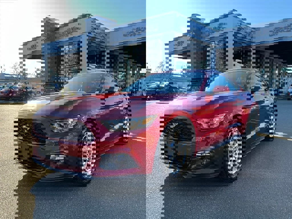 Used 2015 Ford Mustang Coupe image 4