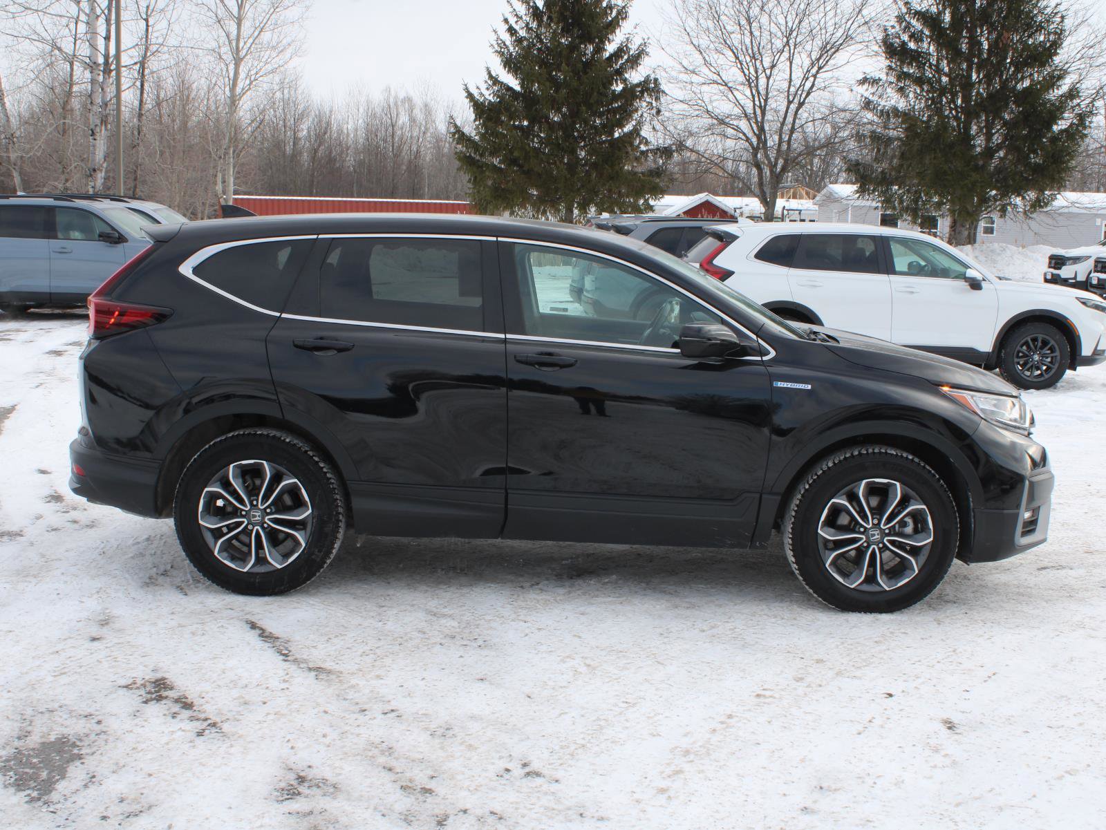 Certified 2022 Honda CR-V EX-L image 4