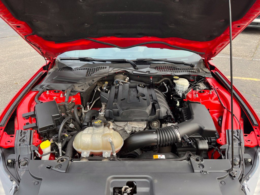 Used 2017 Ford Mustang Coupe RWD image 28