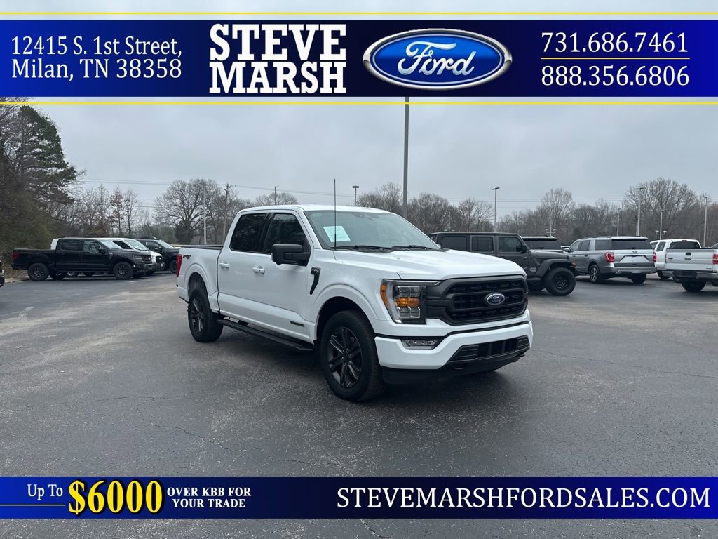 Used 2023 Ford F150 XLT w/ Equipment Group 302A High