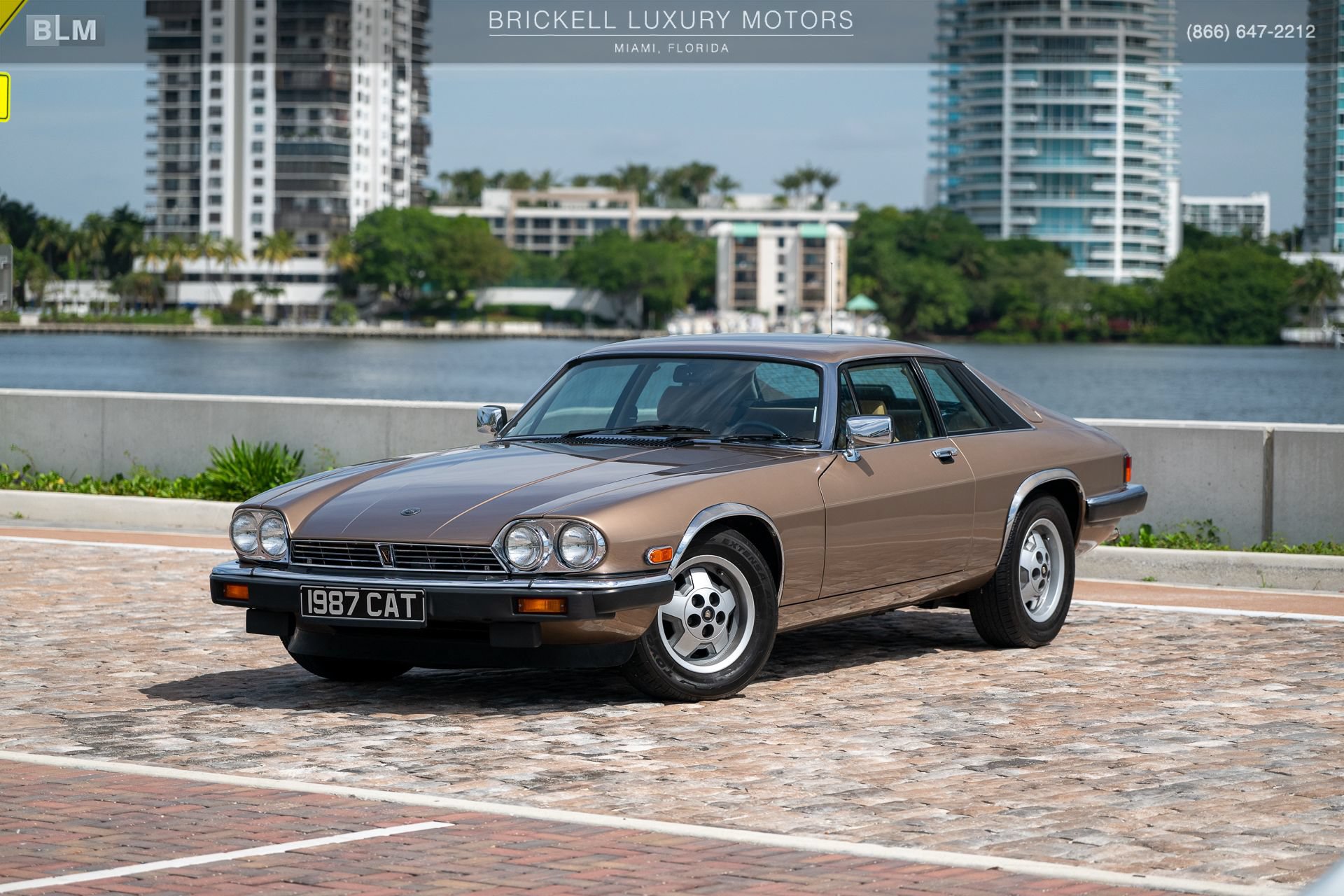 Used 1987 Jaguar XJS V12 Coupe RWD image 9