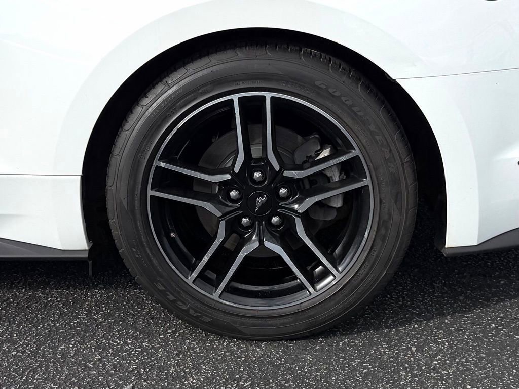 Certified 2019 Ford Mustang Premium image 16